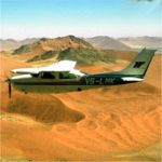 Fly in safari